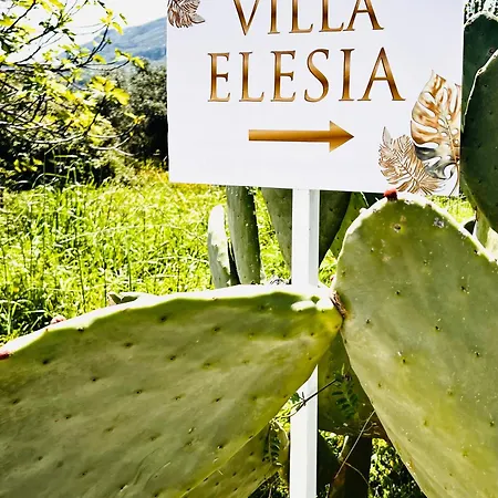 Villa Elesia *